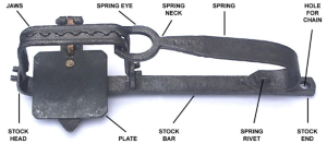 Rabbit Trap Diagram 1