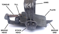 Diagram showing components of metal rabbit trap