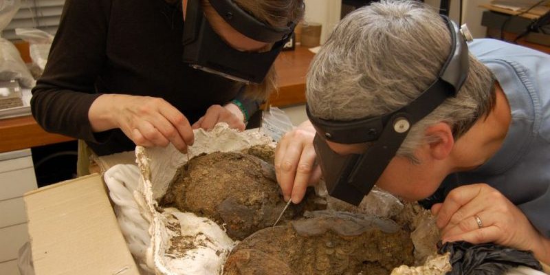 Conservators And Helmet Fragments Aspect Ratio 800 400