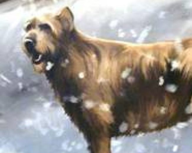 Hallaton Dogs Illustration 1 Aspect Ratio 650 517