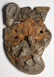 Cheekpiece 4