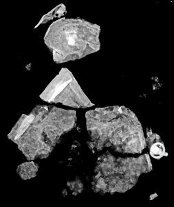 Cheekpiece 5 X-ray © The Trustees of the British Museum