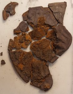 Cheekpiece 5 prior to reconstruction © The Trustees of the British Museum