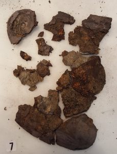 Cheekpiece 7 before reconstruction © The Trustees of the British Museum