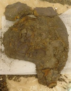 Cheekpiece 6 before cleaning and reconstruction © The Trustees of the British Museum