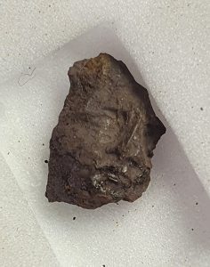 Silver Face