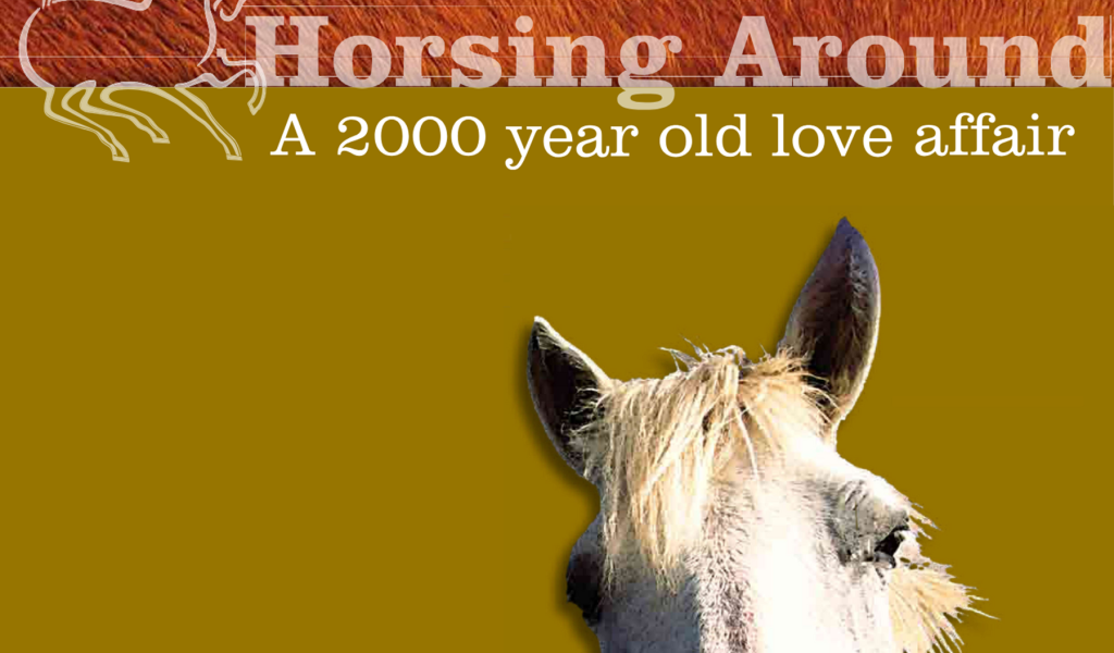 Website Banner Aspect Ratio 1024 600