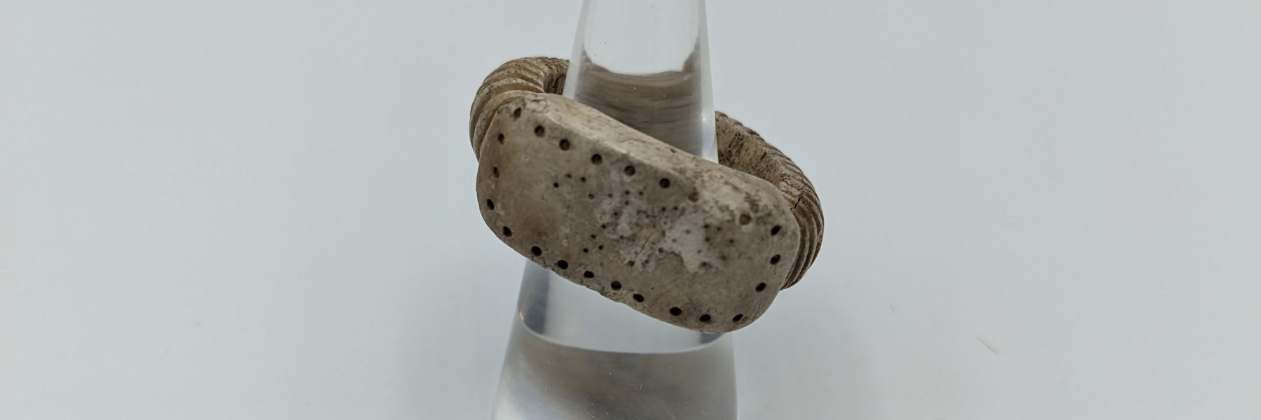 Bone Ring 1 Scaled Aspect Ratio 1800 600