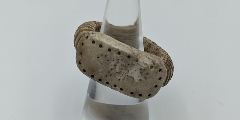 Bone Ring 1 Scaled Aspect Ratio 800 400