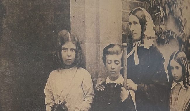 Law Display Scaled Aspect Ratio 650 380