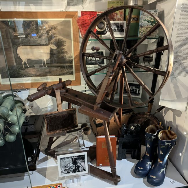 Spinning Wheel Scaled Aspect Ratio 650 650